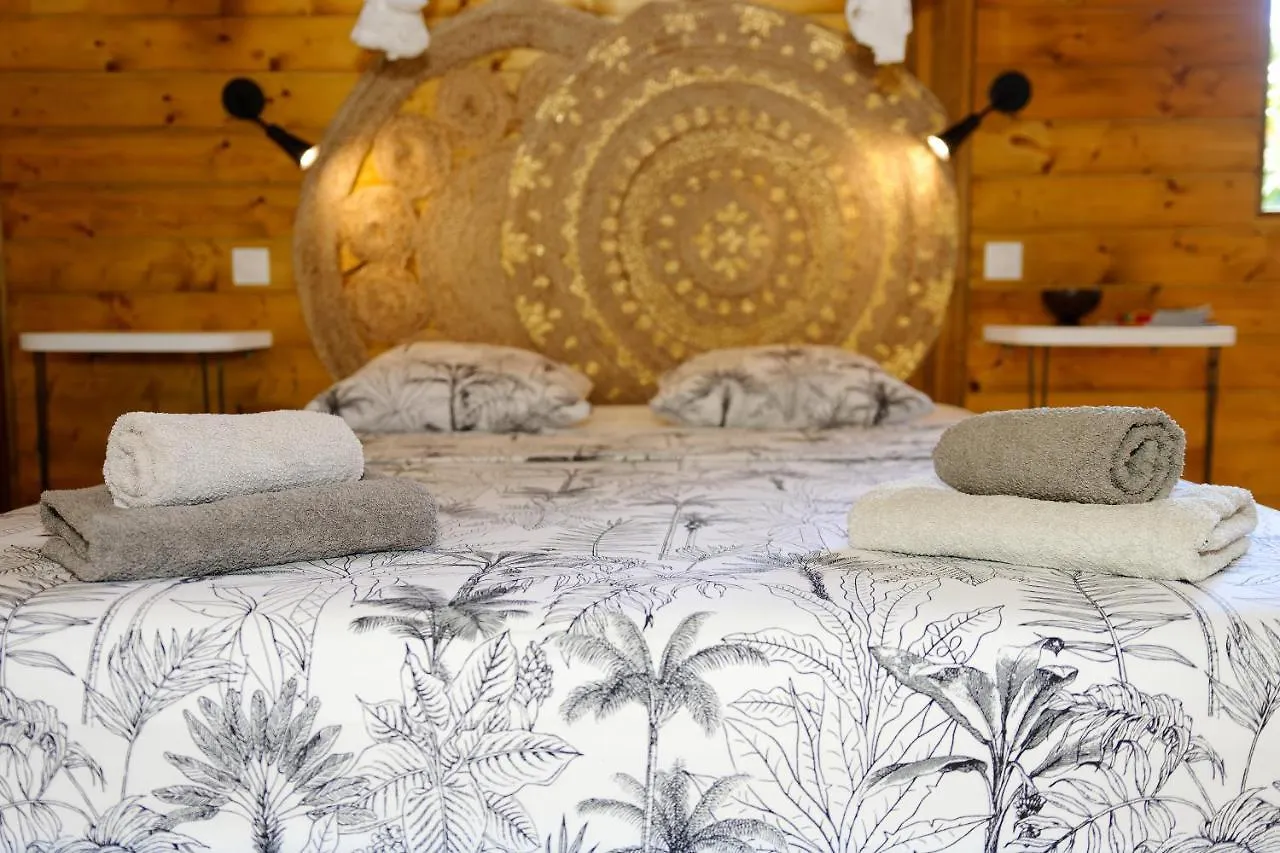Kemping Residence Mapou : Bungalow Cycas - Logement De Charme Avec Piscine Saint-Francois