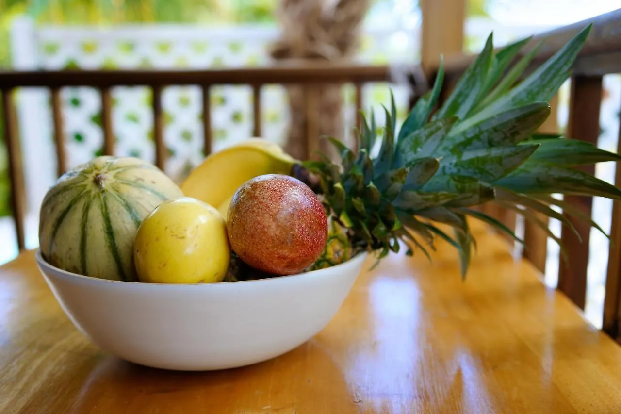 Residence Mapou : Bungalow Cycas - Logement De Charme Avec Piscine Saint-Francois  Saint-François