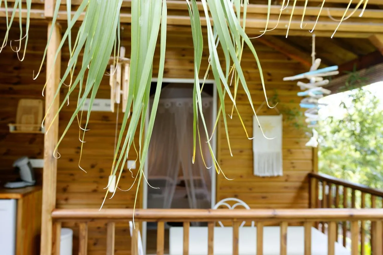 Residence Mapou : Bungalow Cycas - Logement De Charme Avec Piscine Saint-Francois  Kemping Saint-François